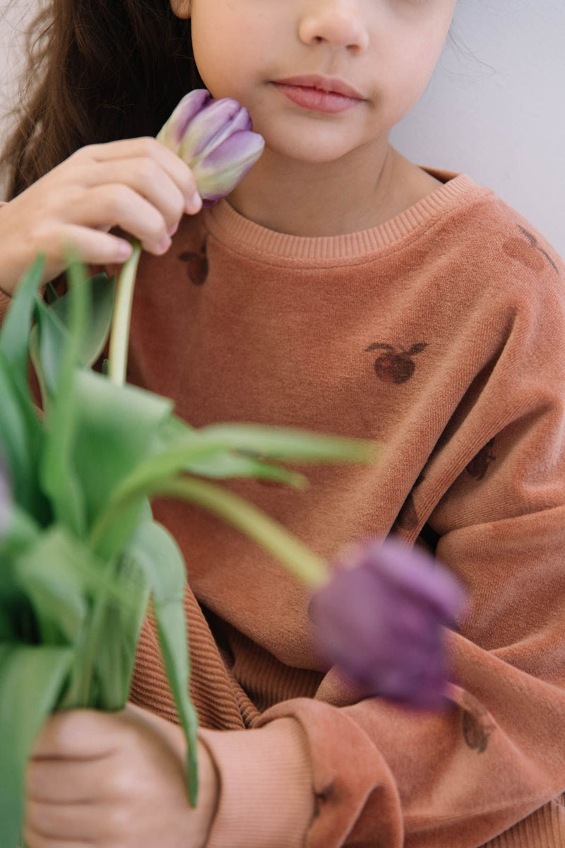 CLASSIC SWEAT SHIRT - old pink/apples