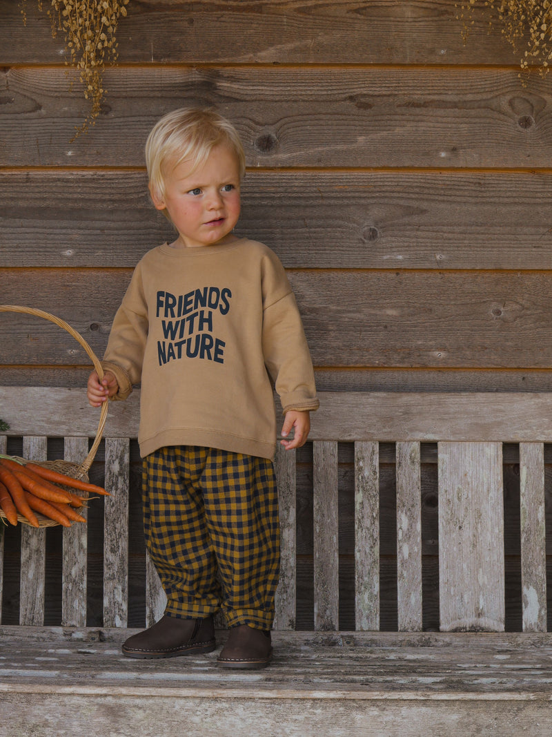 Blueberry Gingham Carrot Pants